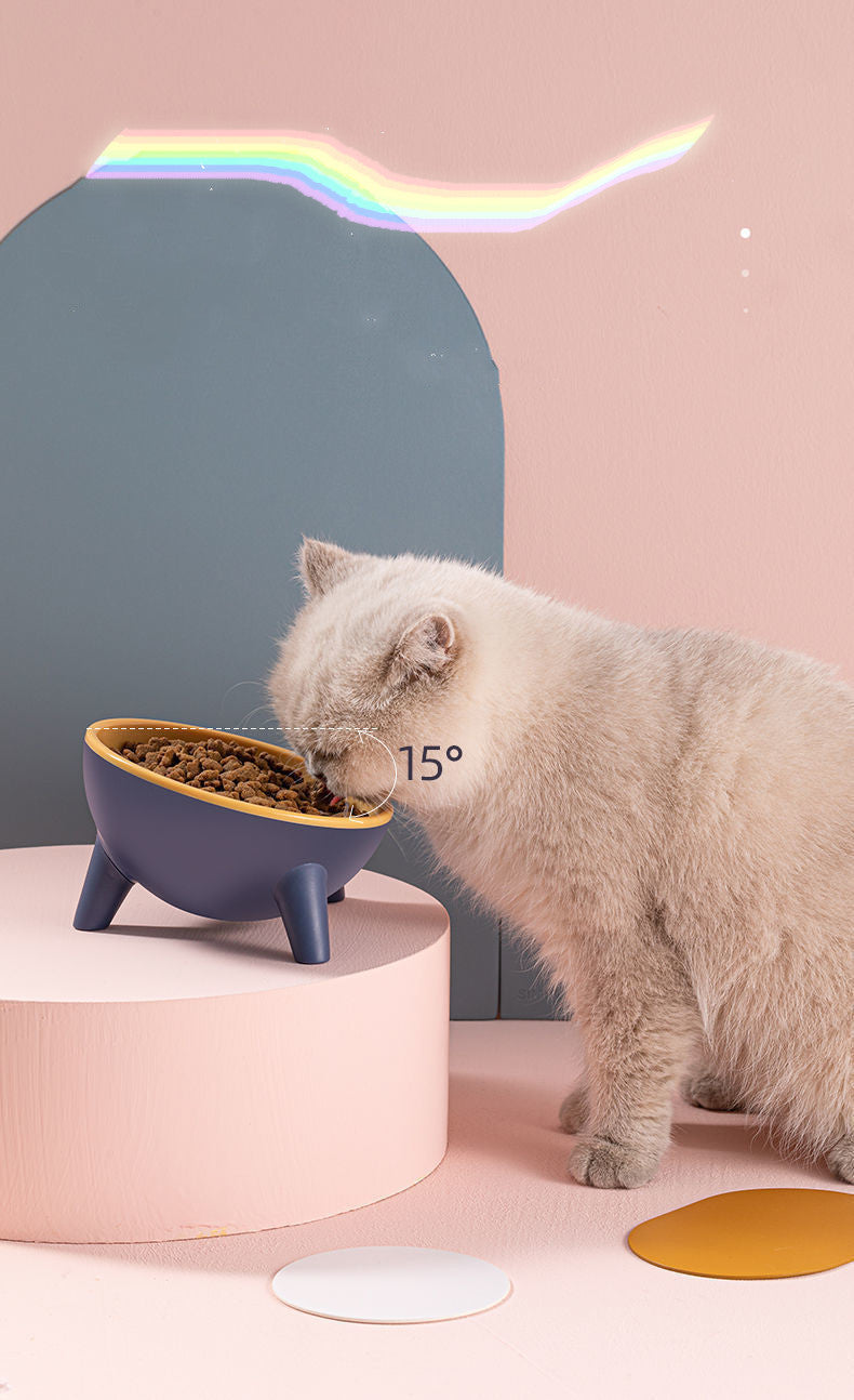 Cat Dog Bowl With Stand By Snoutsanctuary