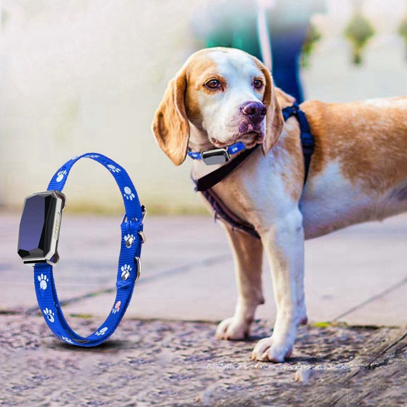 GPS Pet Positioning Collar By Snoutsanctuary