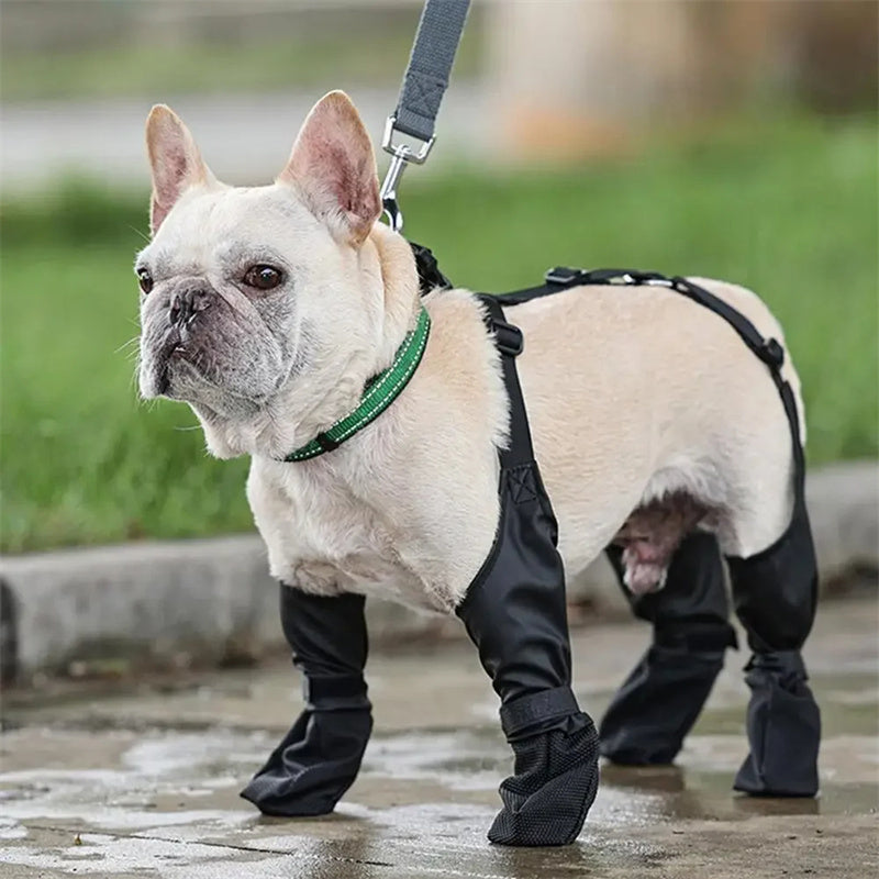 Waterproof Adjustable Dog Boots By Snoutsanctuary
