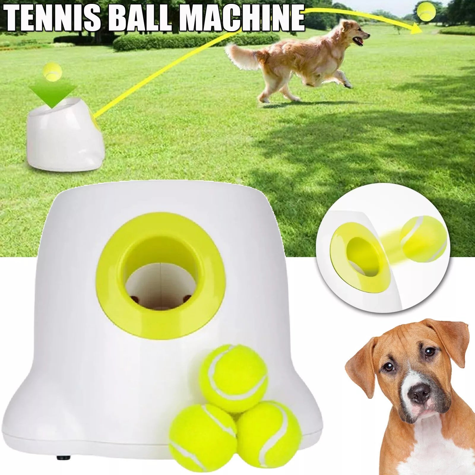 Dog Pet Automatic Tennis Ball Machine Launcher By Snoutsanctuary